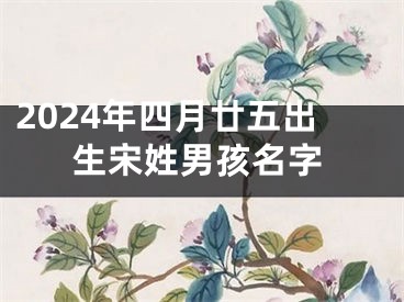 2024年四月廿五出生宋姓男孩名字