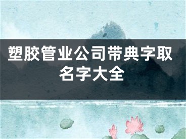 塑胶管业公司带典字取名字大全