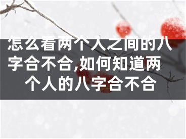 怎么看两个人之间的八字合不合,如何知道两个人的八字合不合