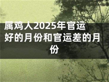 属鸡人2025年官运好的月份和官运差的月份
