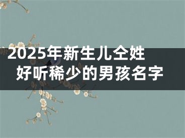 2025年新生儿仝姓好听稀少的男孩名字