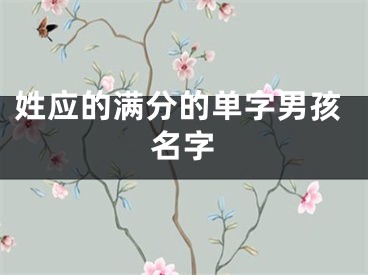 姓应的满分的单字男孩名字