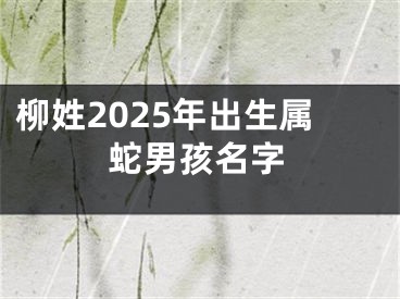 柳姓2025年出生属蛇男孩名字