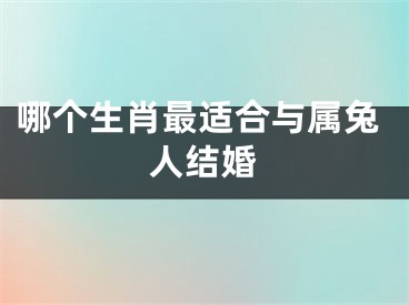 哪个生肖最适合与属兔人结婚