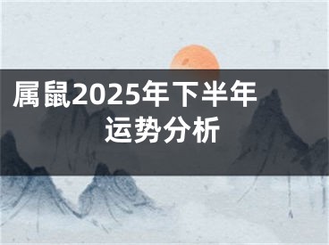 属鼠2025年下半年运势分析