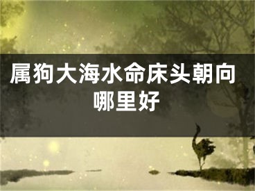 属狗大海水命床头朝向哪里好