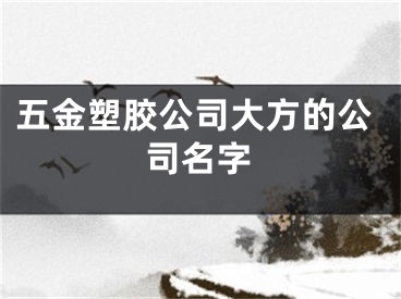 五金塑胶公司大方的公司名字