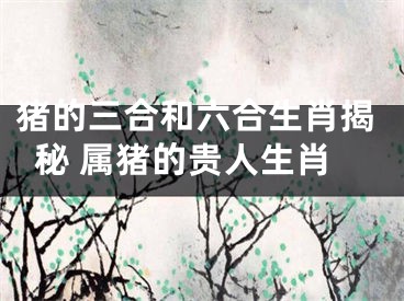 猪的三合和六合生肖揭秘 属猪的贵人生肖