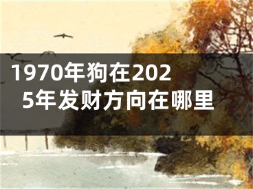1970年狗在2025年发财方向在哪里