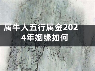 属牛人五行属金2024年姻缘如何