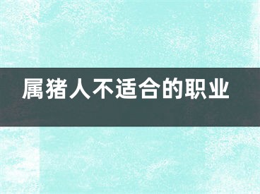 属猪人不适合的职业