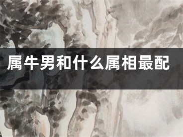 属牛男和什么属相最配