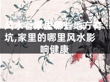 风水看家里哪些地方有坑,家里的哪里风水影响健康