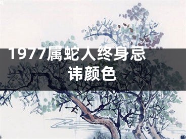 1977属蛇人终身忌讳颜色