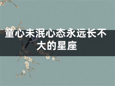 童心未泯心态永远长不大的星座