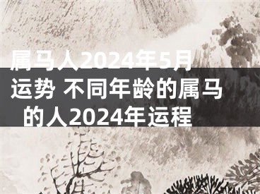 属马人2024年5月运势 不同年龄的属马的人2024年运程