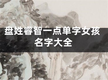 盘姓睿智一点单字女孩名字大全