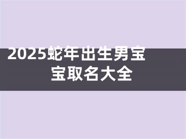 2025蛇年出生男宝宝取名大全