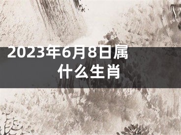 2023年6月8日属什么生肖