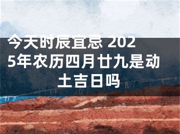 今天时辰宜忌 2025年农历四月廿九是动土吉日吗
