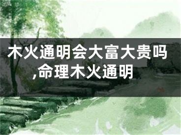 木火通明会大富大贵吗,命理木火通明