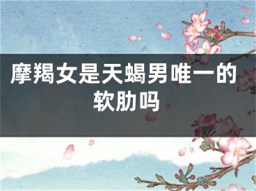 摩羯女是天蝎男唯一的软肋吗