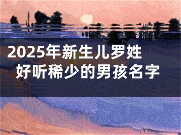 2025年新生儿罗姓好听稀少的男孩名字