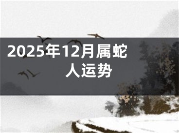2025年12月属蛇人运势