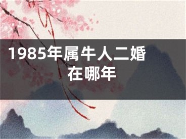 1985年属牛人二婚在哪年