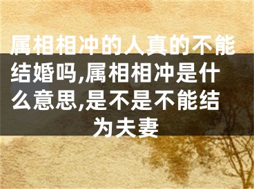 属相相冲的人真的不能结婚吗,属相相冲是什么意思,是不是不能结为夫妻