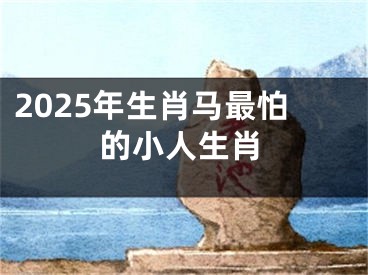 2025年生肖马最怕的小人生肖