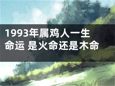 1993年属鸡人一生命运 是火命还是木命
