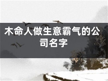 木命人做生意霸气的公司名字