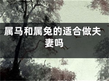 属马和属兔的适合做夫妻吗