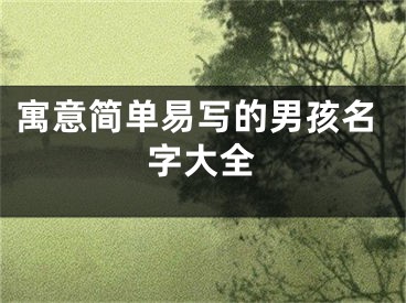 寓意简单易写的男孩名字大全