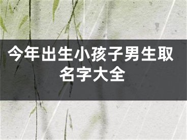 今年出生小孩子男生取名字大全