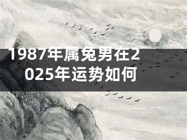1987年属兔男在2025年运势如何