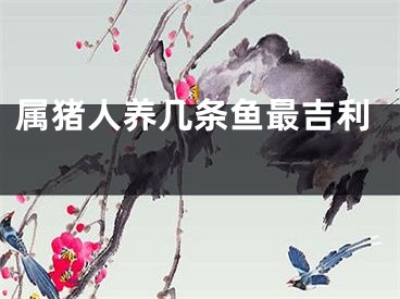 属猪人养几条鱼最吉利 