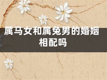 属马女和属兔男的婚姻相配吗