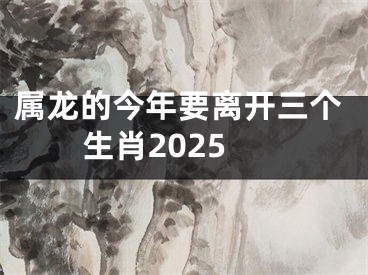 属龙的今年要离开三个生肖2025