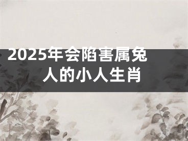 2025年会陷害属兔人的小人生肖