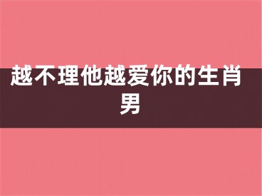 越不理他越爱你的生肖男