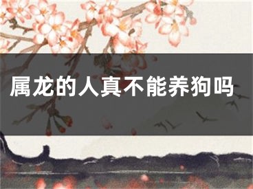 属龙的人真不能养狗吗