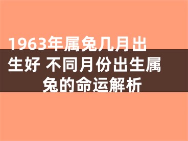 1963年属兔几月出生好 不同月份出生属兔的命运解析