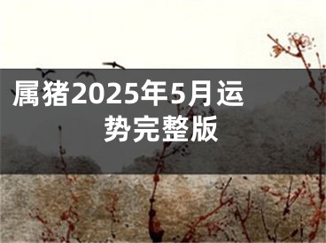 属猪2025年5月运势完整版
