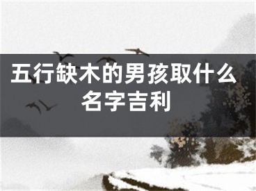 五行缺木的男孩取什么名字吉利