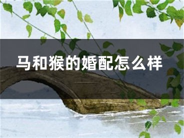 马和猴的婚配怎么样
