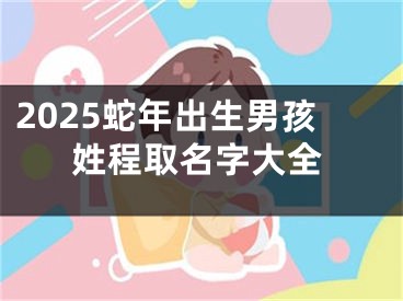 2025蛇年出生男孩姓程取名字大全