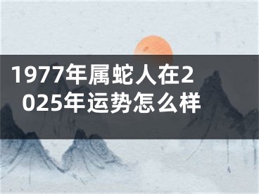 1977年属蛇人在2025年运势怎么样