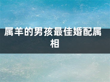 属羊的男孩最佳婚配属相